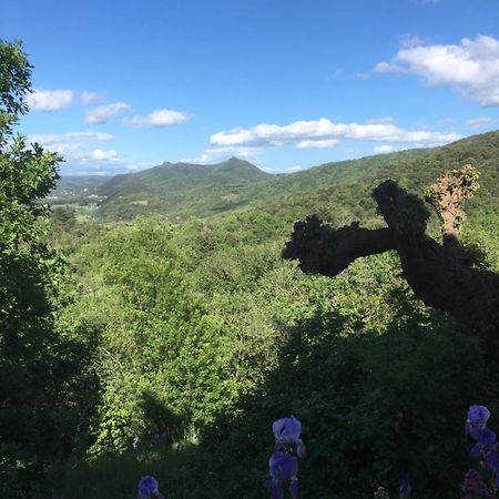 La Petite Adresse De Rose Maison De Vacances Entree Autonome Le Poujol-sur-Orb Luaran gambar