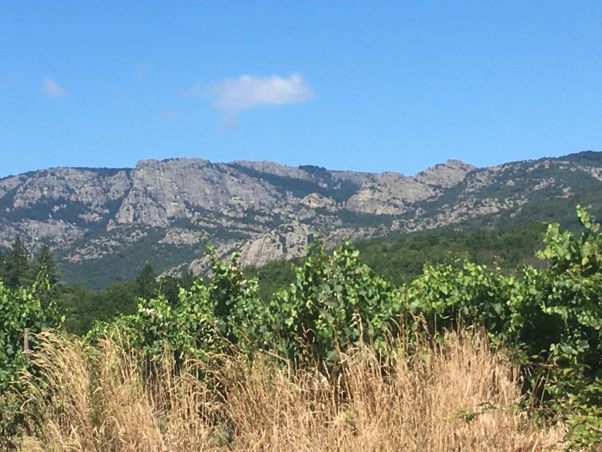 La Petite Adresse De Rose Maison De Vacances Entree Autonome Le Poujol-sur-Orb Luaran gambar