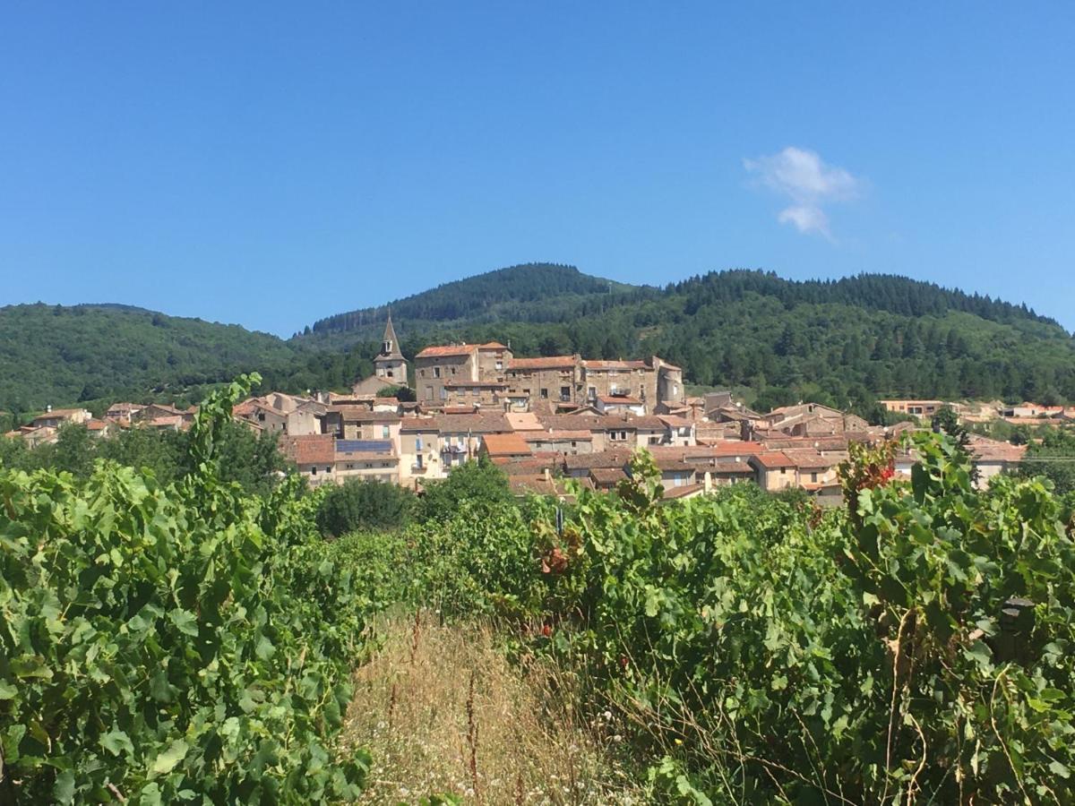 La Petite Adresse De Rose Maison De Vacances Entree Autonome Le Poujol-sur-Orb Luaran gambar