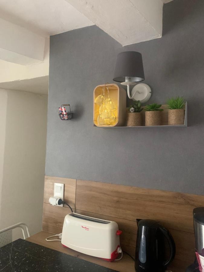La Petite Adresse De Rose Maison De Vacances Entree Autonome Le Poujol-sur-Orb Luaran gambar